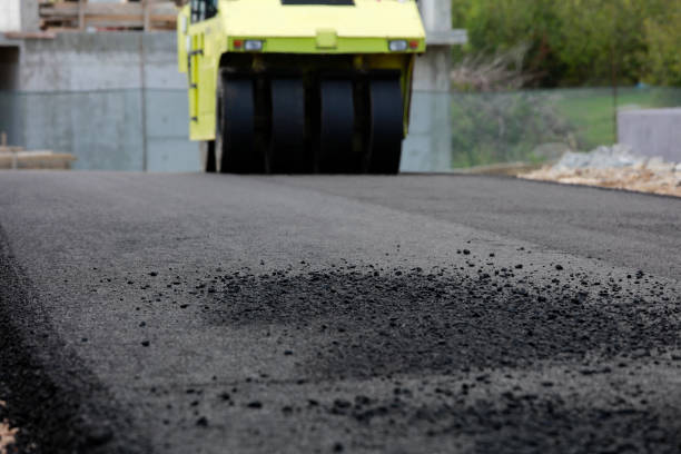 Best Driveway Pavers for Homes  in Clovis, NM