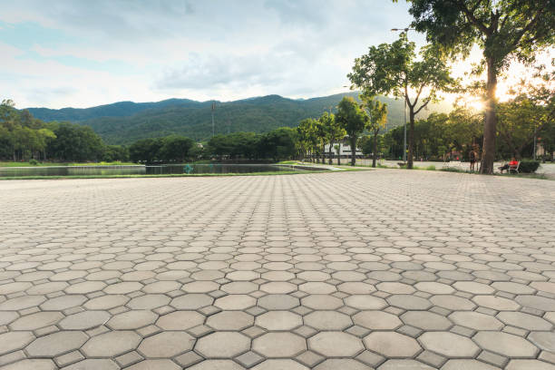 Best Decorative Driveway Pavers  in Clovis, NM