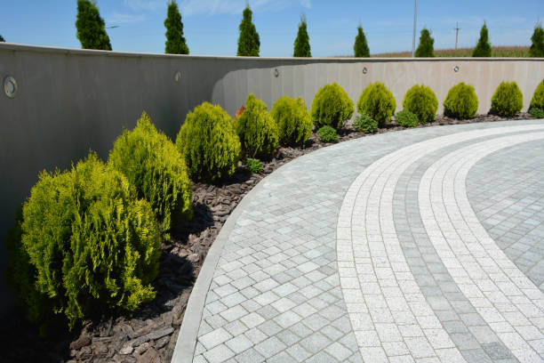 Best Driveway Pavers Near Me  in Clovis, NM